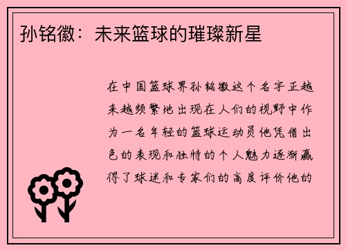 孙铭徽：未来篮球的璀璨新星